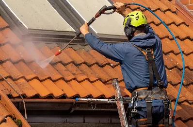 Démoussage et hydrofuge de toiture à Voise